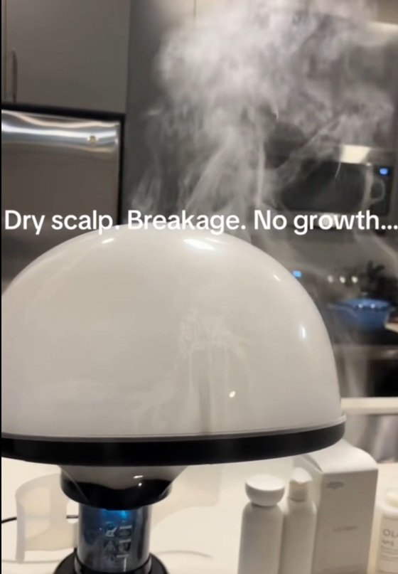 Hair Steamer